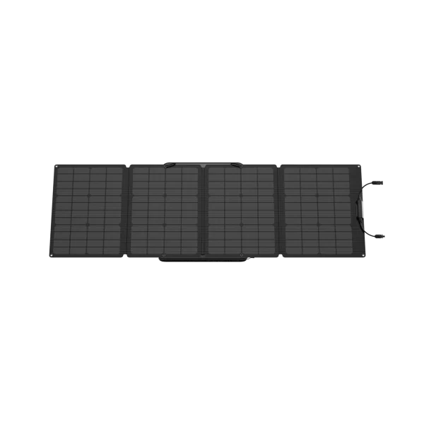 EcoFlow 160W Portable Solar Panel - Image 2